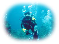 �Ђ΂�̂���