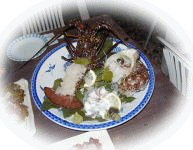 �C�Z�G�r�̎h�g